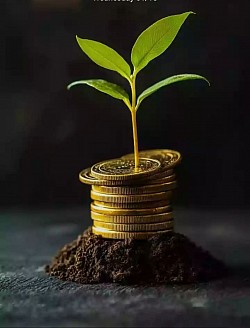 Learn more than earn more money